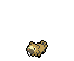 bidoof