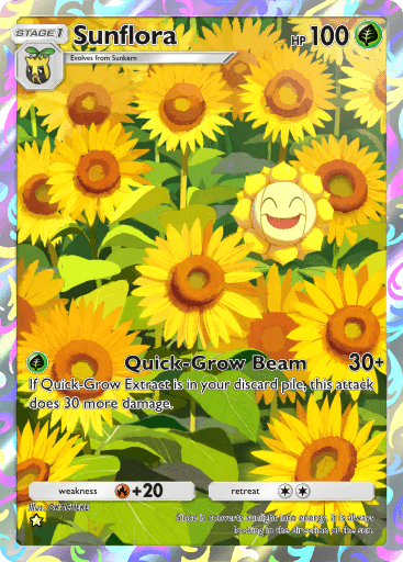 Sunflora Illus